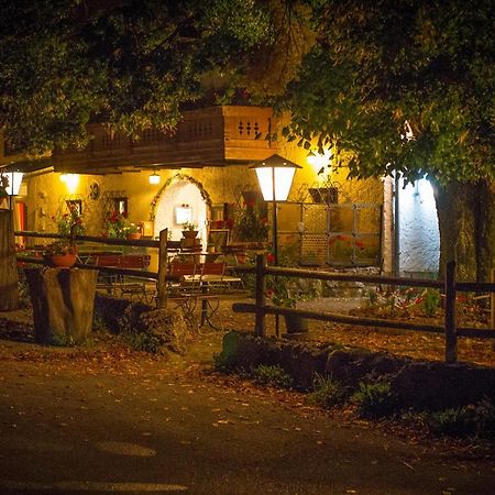 Gasthof Mitteregg Zum Kasnocknwirt Winkl  Eksteriør billede